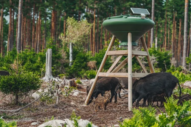 Nordic Gamekeeper 250 liter forautomat