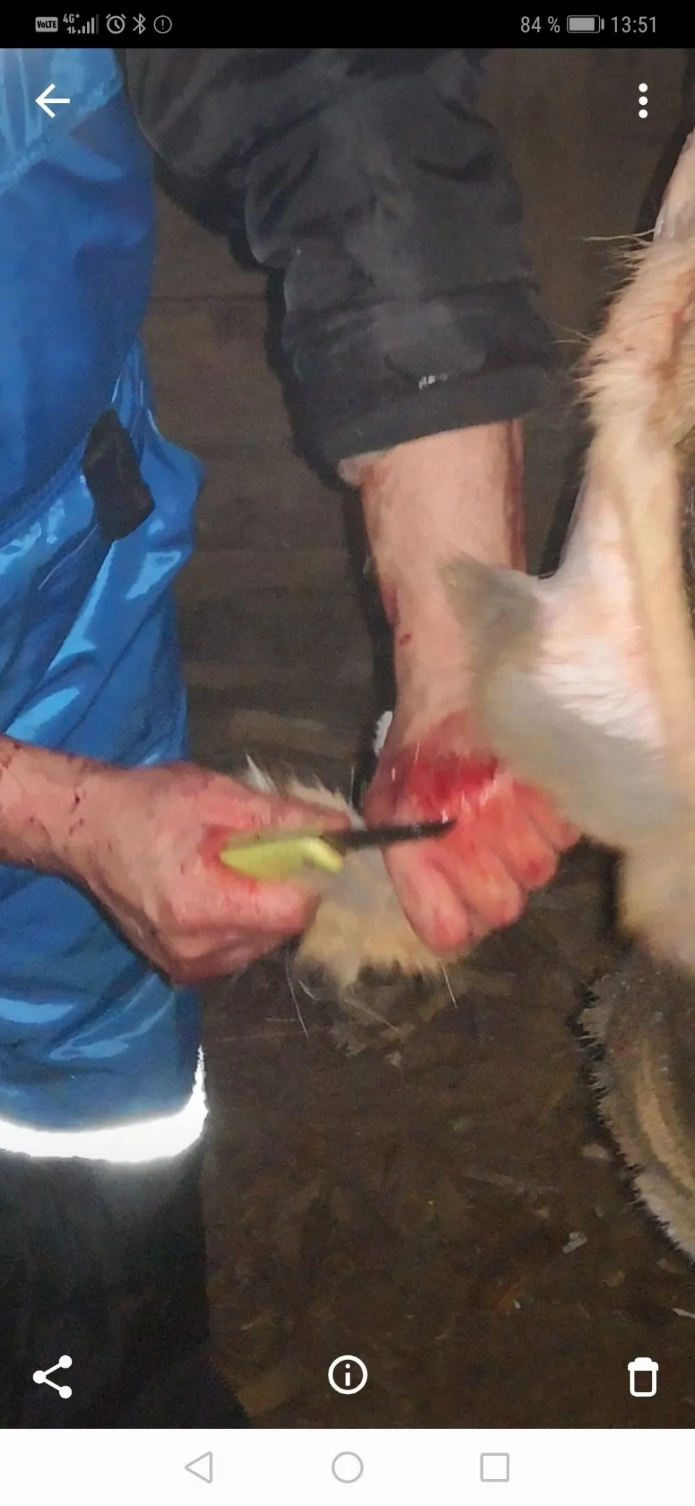 Produktbilde 7