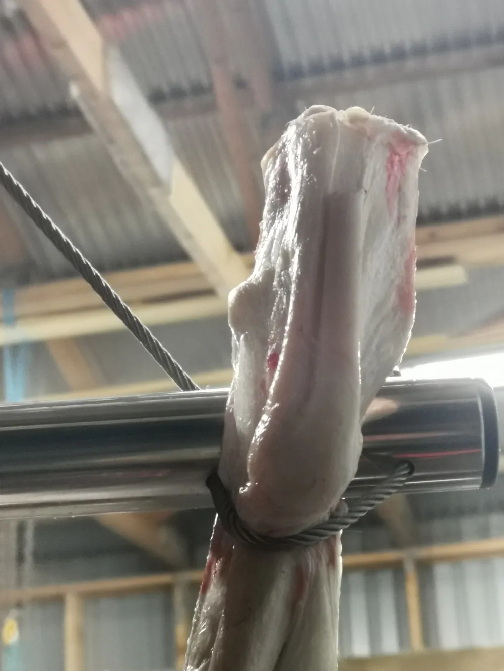 Produktbilde 2